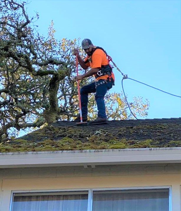 Exterior Building Maintenance